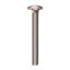 GALV CUP SQ. BOLTS ONLY | M8X50MM GALV